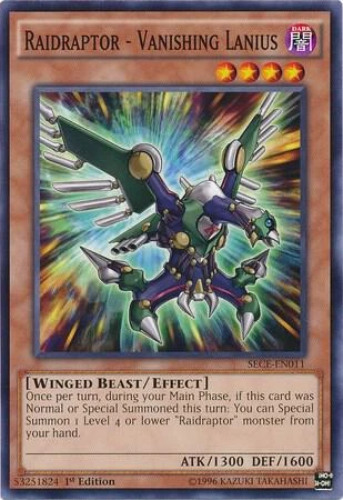 Raidraptor Vanishing Lanius