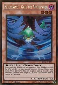 Blackwing Gale the Whirlwind