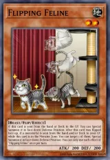 Flipping Feline