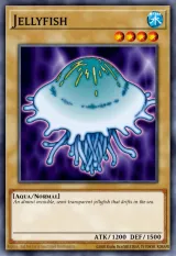 Jellyfish