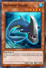Hammer Shark