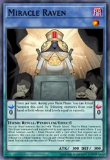 Miracle Raven