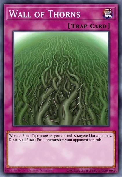 Wall of Thorns