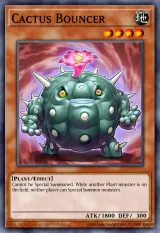 Cactus Bouncer