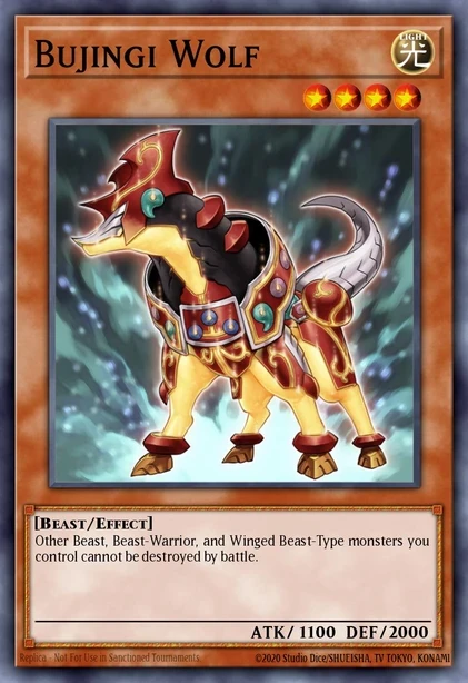 Bujingi Wolf