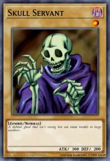 Skull Servant