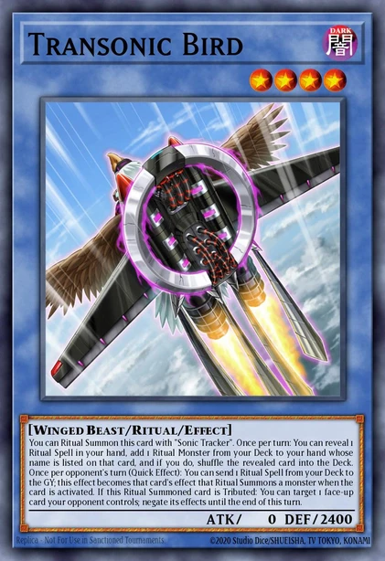 Transonic Bird