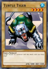 Turtle Tiger