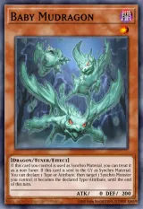 Baby Mudragon