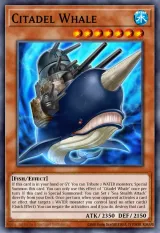 Citadel Whale