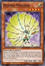 Bujingi Peacock