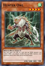 Hunter Owl