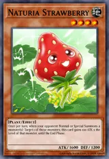 Naturia Strawberry