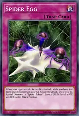 Spider Egg