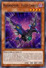 Raidraptor - Fuzzy Lanius