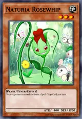 Naturia Rosewhip