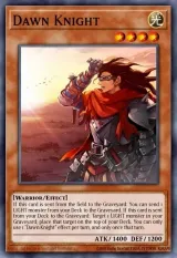 Dawn Knight