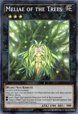 Meliae of the Trees