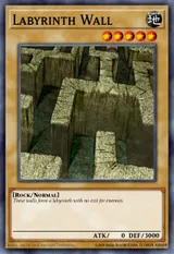 Labyrinth Wall