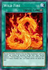 Wild Fire