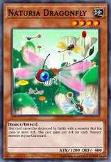 Naturia Dragonfly