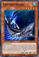 Lantern Shark