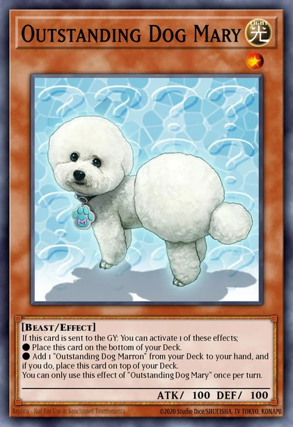 Outstanding Dog Mary
