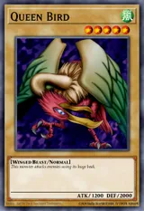 Queen Bird