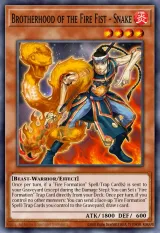Brotherhood of the Fire Fist - Snake
