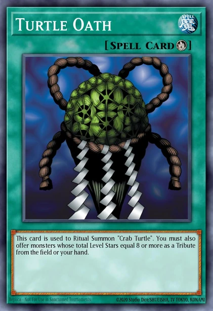 Turtle Oath