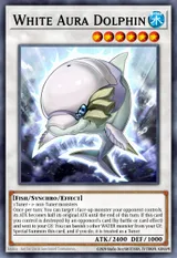 White Aura Dolphin