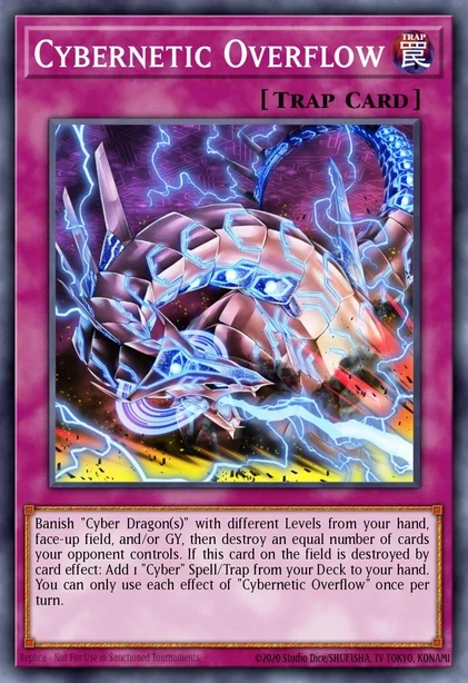 Cybernetic Overflow