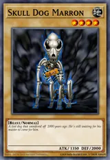 Skull Dog Marron