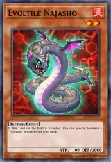 Evoltile Najasho