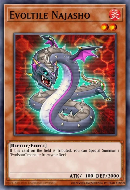 Evoltile Najasho