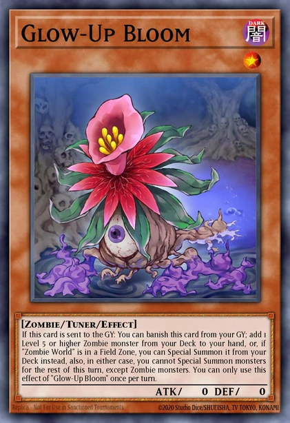 Glow-Up Bloom
