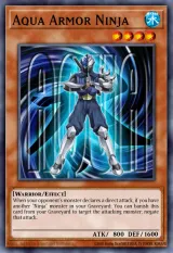 Aqua Armor Ninja