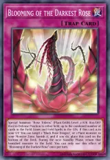 Blooming of the Darkest Rose
