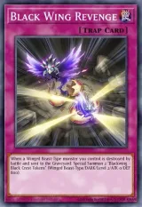Black Wing Revenge