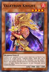 Valkyrian Knight