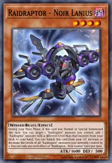 Raidraptor - Noir Lanius
